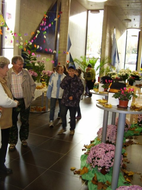 Výstava chryzantém