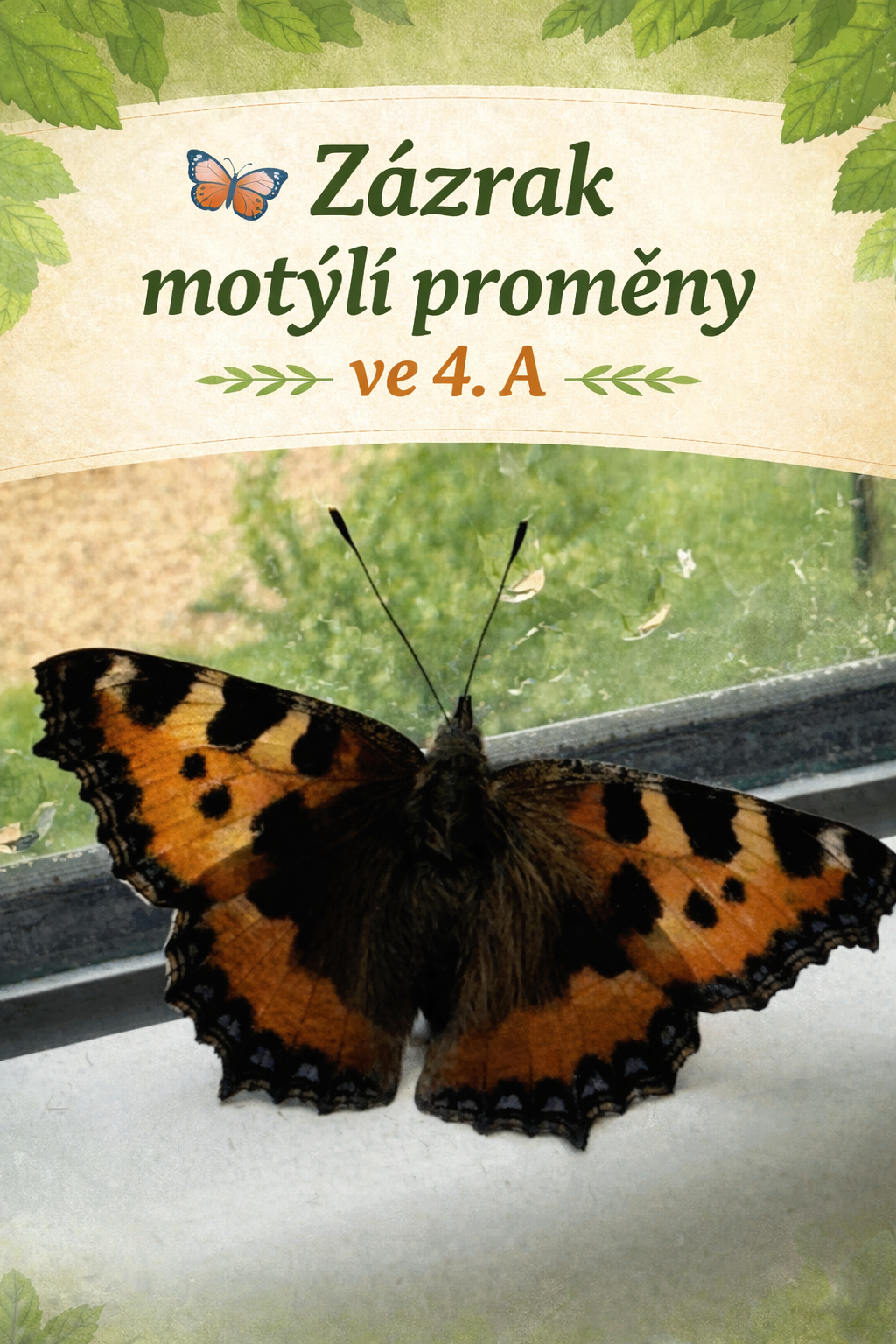 Zázrak motýlí proměny ve 4. A