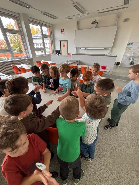 Jak Lištičky podporovaly svou zvídavost (I.B)