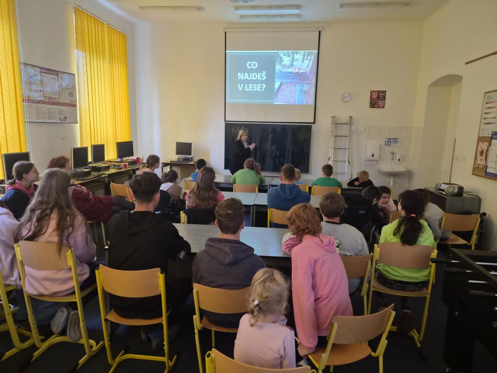Co najdeš v lese?